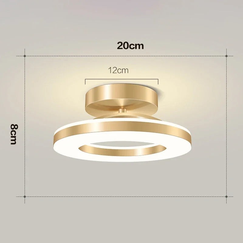 Clairly Ceiling Lamp | Modern Ring Flush Mount
