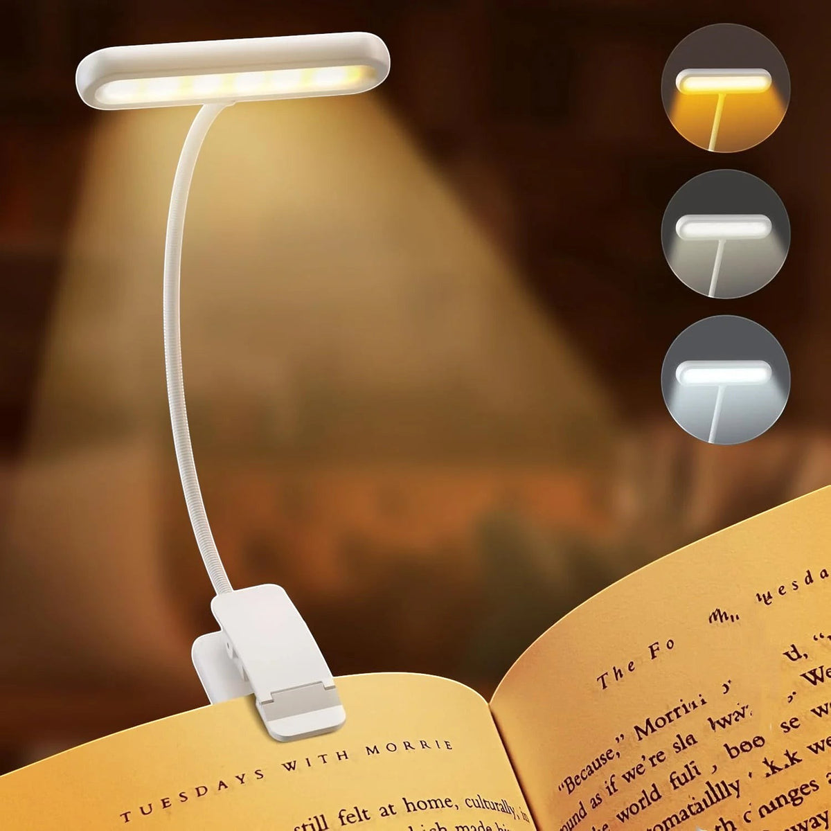 Clairly Reading Lamp | Clip On Flexible Design